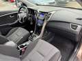 Hyundai i30 Trend Motor 1,4 Ltr PDC SHZ Braun - thumbnail 15