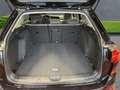 Volkswagen Golf VIII Variant Alltrack 4Motion 2.0 TDI+AHK+Alu+Navi Schwarz - thumbnail 5