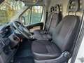 Citroen Jumper L2H2 Diesel, NETTOPREIS 13.330€ Weiß - thumbnail 10