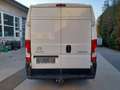 Citroen Jumper L2H2 Diesel, NETTOPREIS 13.330€ Weiß - thumbnail 6