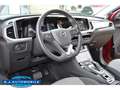 Opel Grandland 1.2 Turbo EU6d ,1 Hd wie neu Rojo - thumbnail 11