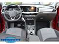 Opel Grandland 1.2 Turbo EU6d ,1 Hd wie neu Rojo - thumbnail 13