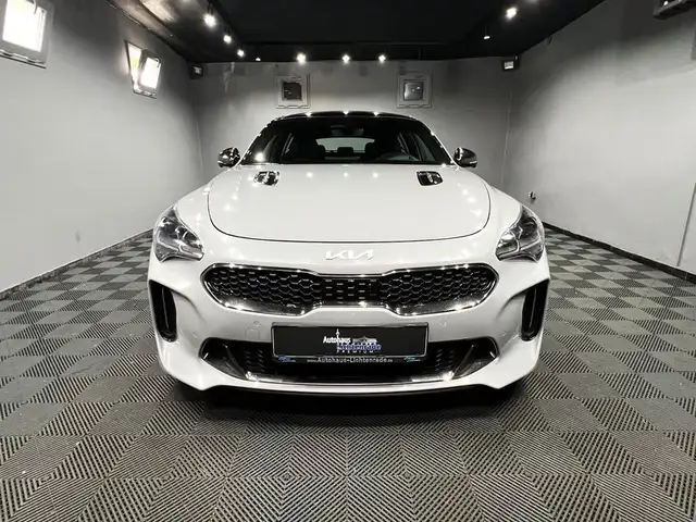 Kia Stinger view 6