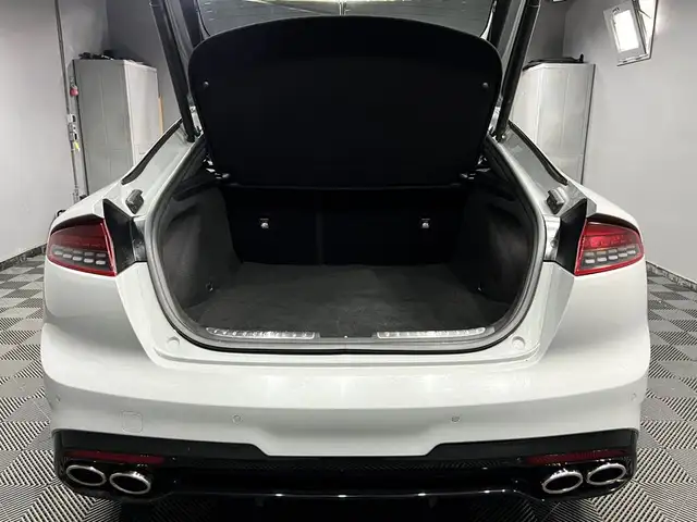 Kia Stinger view 8