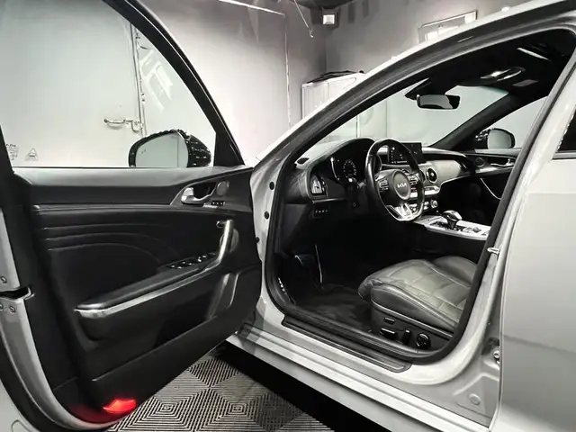 Kia Stinger view 10
