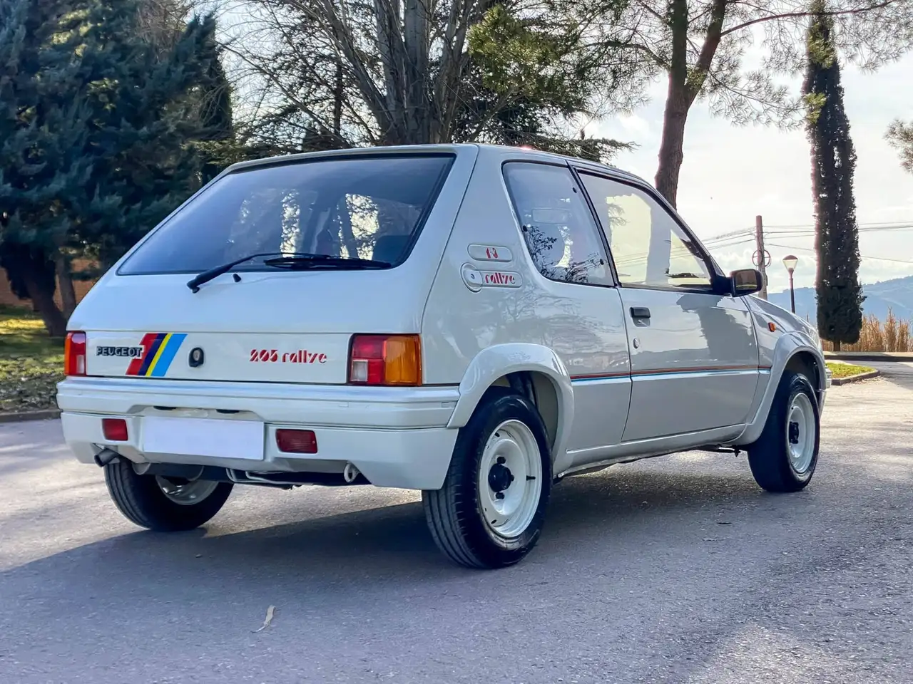 Peugeot 205 Rallye, foto 5