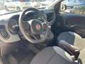 Fiat Panda Panda III 2021 4x4 0.9 t.air t. Wild 4x4 s Verde - thumbnail 7