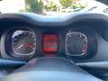 Fiat Panda Panda III 2021 4x4 0.9 t.air t. Wild 4x4 s Verde - thumbnail 11