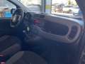 Fiat Panda Panda III 2021 4x4 0.9 t.air t. Wild 4x4 s Verde - thumbnail 15