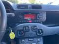 Fiat Panda Panda III 2021 4x4 0.9 t.air t. Wild 4x4 s Verde - thumbnail 12