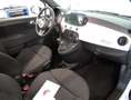 Fiat 500C Cabrio 1.0 GSE Cool & Sound Weiß - thumbnail 3