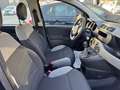 Fiat Panda Panda 1.0 FireFly S&S Hybrid City Cross Schwarz - thumbnail 13