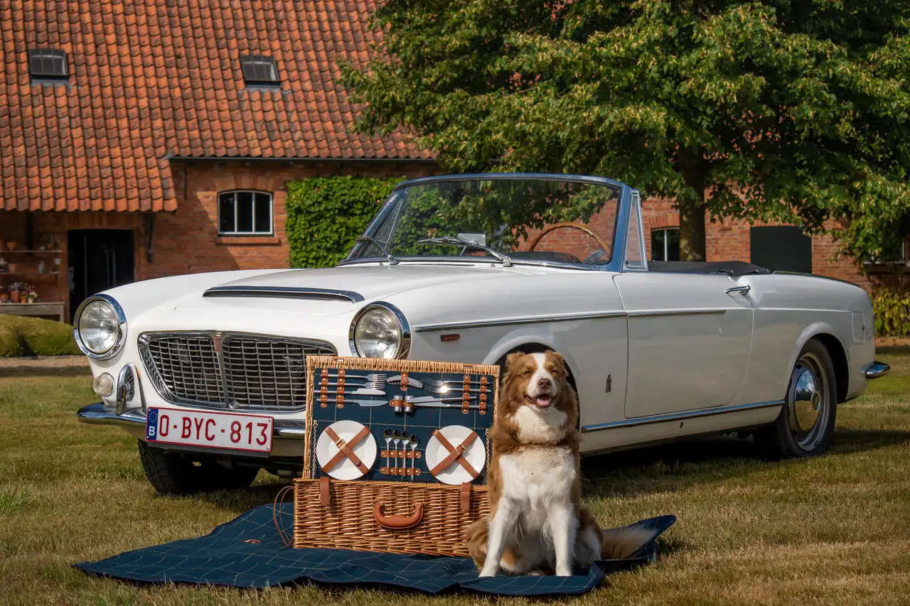 Fiat 1500 Zeldzame 1500S OSCA-Maserati, foto 3