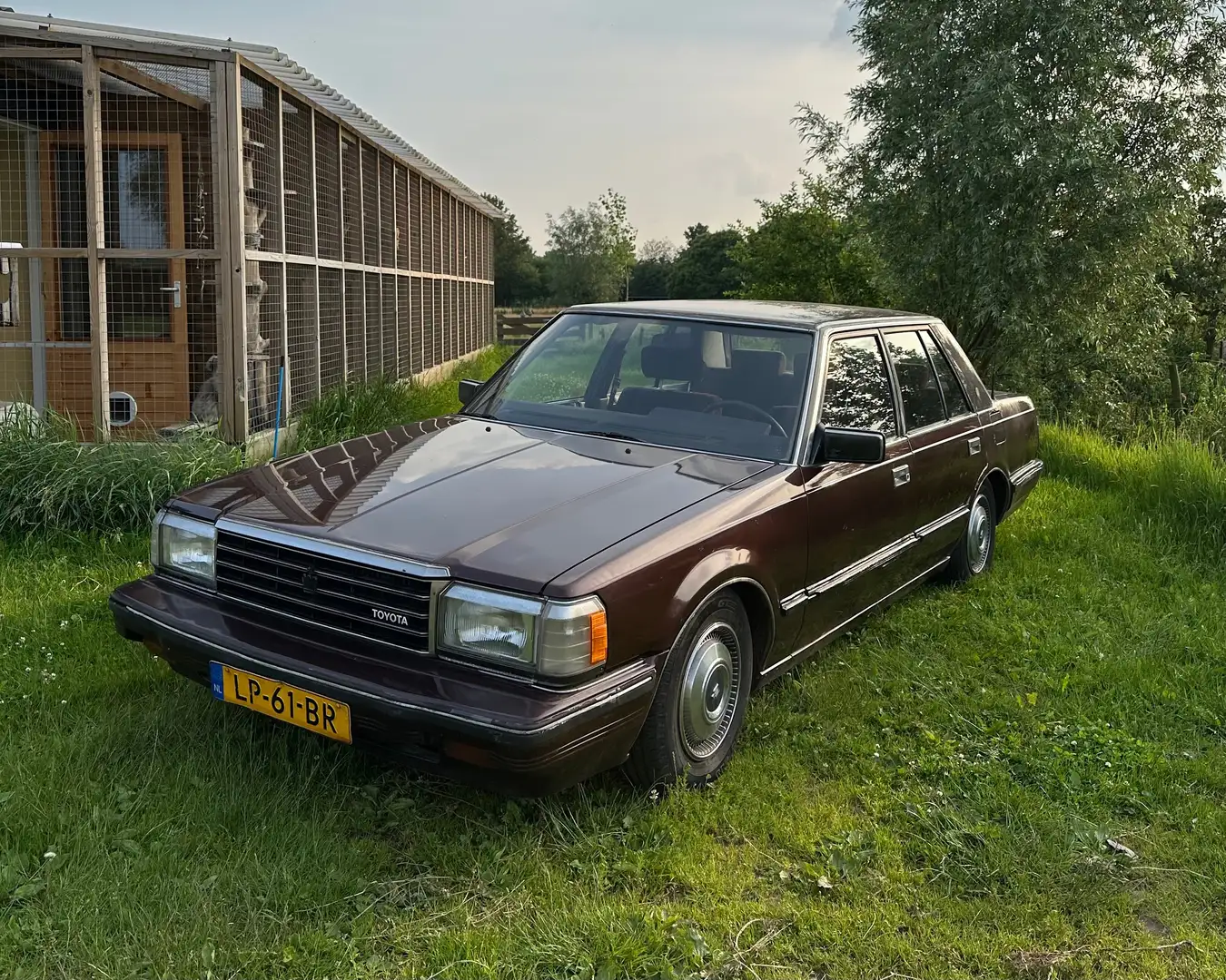 Toyota Crown Super Saloon Ms123 Rot - 1