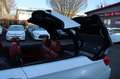 BMW 335 i Cabrio M Sport DKG Navi,HarmanKardon,Leder Weiß - thumbnail 13
