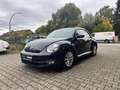 Volkswagen Beetle Lim. Vollleder/SHZ/Klima/PDC/2.Hand/8Fach Schwarz - thumbnail 8