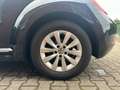 Volkswagen Beetle Lim. Vollleder/SHZ/Klima/PDC/2.Hand/8Fach Schwarz - thumbnail 24