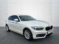 BMW 118 i SportLine*Leder*LED*NaviProf*H&K*S-Dach* Blanco - thumbnail 3