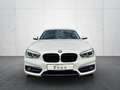 BMW 118 i SportLine*Leder*LED*NaviProf*H&K*S-Dach* Blanco - thumbnail 2