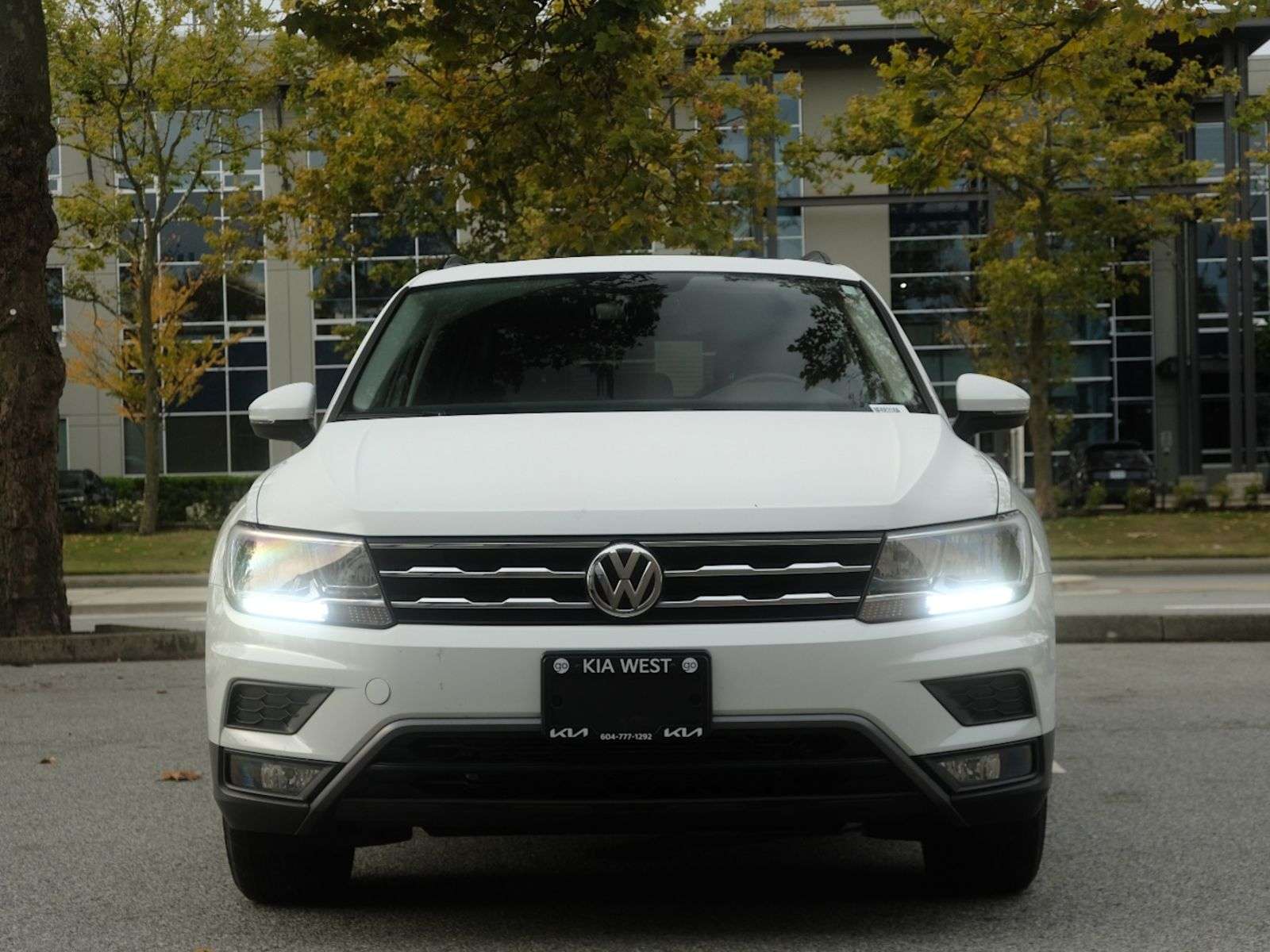 Image 7