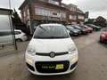Fiat Panda Panda 1.2i Easy - garantie 12 mois Weiß - thumbnail 8