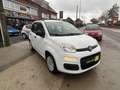 Fiat Panda Panda 1.2i Easy - garantie 12 mois Weiß - thumbnail 2