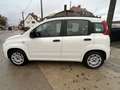 Fiat Panda Panda 1.2i Easy - garantie 12 mois Weiß - thumbnail 7