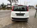 Fiat Panda Panda 1.2i Easy - garantie 12 mois Weiß - thumbnail 5