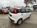 Fiat Panda Panda 1.2i Easy - garantie 12 mois Weiß - thumbnail 4