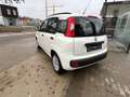 Fiat Panda Panda 1.2i Easy - garantie 12 mois Weiß - thumbnail 6