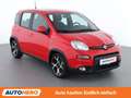 Fiat Panda 1.0 Mild-Hybrid Sport Rot - thumbnail 8