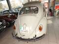 Volkswagen Käfer 1200 - die brave Unschuld vom Lande Weiß - thumbnail 4