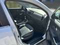 Kia Sportage Sportage Titan 2,0 CRDi AWD Titan  Xenon-Scheinwerfer Pickerl Neu! Weiß - thumbnail 16