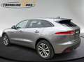 Jaguar F-Pace 20d R-Sport Aut. Grau - thumbnail 5