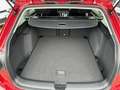 Volkswagen Golf Variant Golf VIII Variant Active 1.5 l eTSI  ACC, LED,"Rea Rot - thumbnail 25