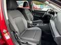 Volkswagen Golf Variant Golf VIII Variant Active 1.5 l eTSI  ACC, LED,"Rea Rot - thumbnail 26