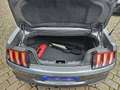 Ford Mustang Convertible 5.0 Ti-VCT V8 GT Grigio - thumbnail 6