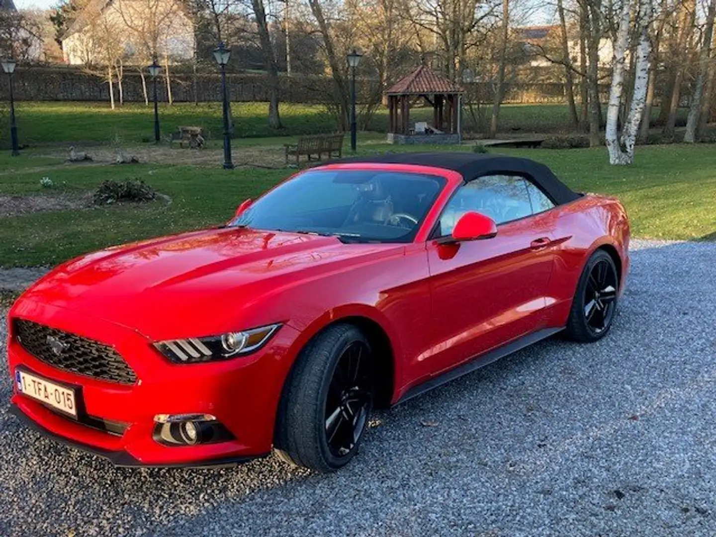 Ford Mustang Mustang Cabrio 2.3 Eco Boost Rouge - 2