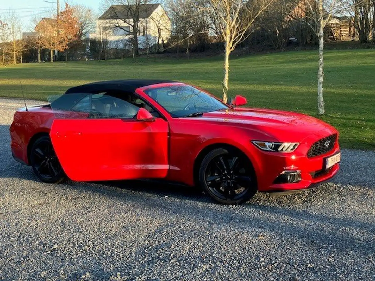 Ford Mustang Mustang Cabrio 2.3 Eco Boost Rouge - 1