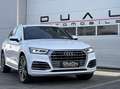 Audi Q5 2,0 TDI quattro S-tronic|S-LINE|AHK|NAVI|LEDER Weiß - thumbnail 2