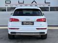 Audi Q5 2,0 TDI quattro S-tronic|S-LINE|AHK|NAVI|LEDER Weiß - thumbnail 6