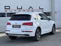 Audi Q5 2,0 TDI quattro S-tronic|S-LINE|AHK|NAVI|LEDER Weiß - thumbnail 4
