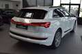 Audi e-tron 55 quattro S-Line LED~Virtual~AIR~HUD~ACC Weiß - thumbnail 6