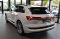 Audi e-tron 55 quattro S-Line LED~Virtual~AIR~HUD~ACC Weiß - thumbnail 7