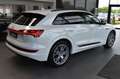 Audi e-tron 55 quattro S-Line LED~Virtual~AIR~HUD~ACC Weiß - thumbnail 2