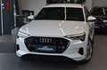 Audi e-tron 55 quattro S-Line LED~Virtual~AIR~HUD~ACC Weiß - thumbnail 1