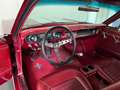 Ford Mustang 5.8L V8 Sammler Stück Rot - thumbnail 18