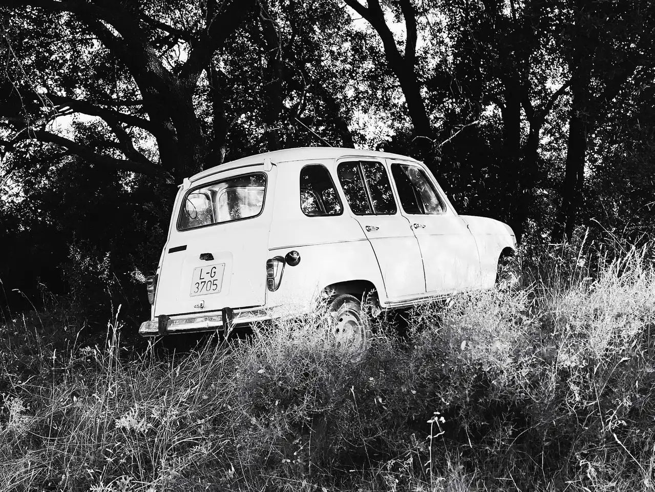 Renault R 4 TL, foto 4