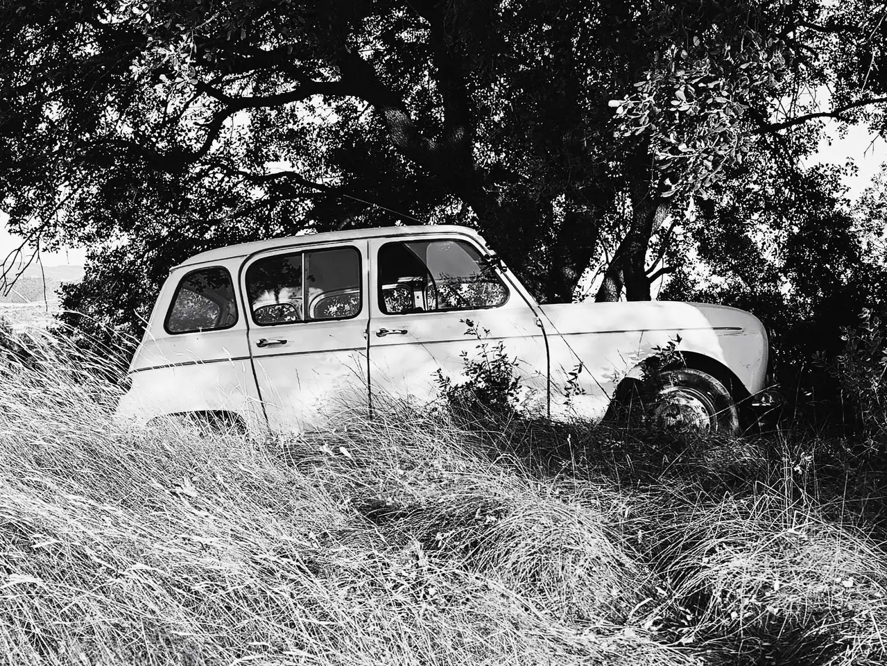 Renault R 4 TL, foto 3