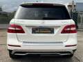 Mercedes-Benz ML 350 CDI BlueTec|Alcantara|AHK|St-Heizung Weiß - thumbnail 5